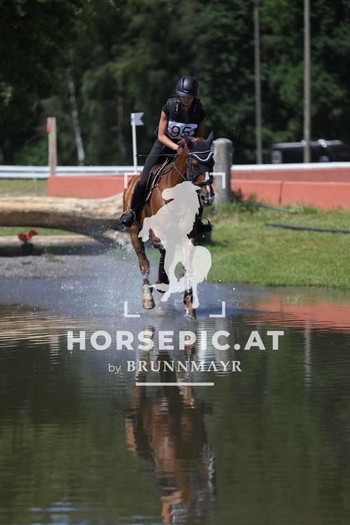 0P6A5391 | Willkommen bei Brunnmayr - Design & Fotografie – Ihrem Spezialisten für Reitturniere und Pferdeveranstaltungen in Oberösterreich, Salzburg und Bayern! Seit über 17 Jahren sind wir leidenschaftlich dabei.