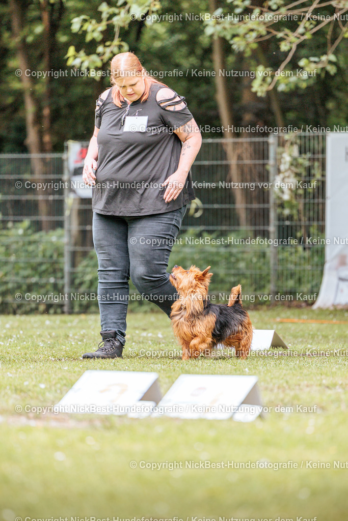 RO-Blumenthal-2026-Nickbest-Hundefotografie-2153 | Dein Hund! Dein Moment! Deine Erinnerungen! Hundefotografie in Bremen Blumenthal. Ich fange die besonderen Momente deines Vierbeiners ein – ob Indoor mit Blitzanlage oder in der freien Natur. Sicher dir dein Moment und dein Termin für eure Erinnerungen.