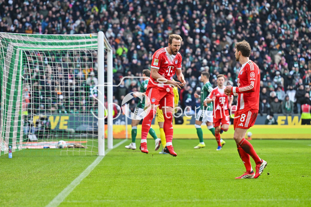 SV Werder Bremen - FC Bayern München | BREMEN, GERMANY - 14. FEBRUARY: Jubel der Bayern nach dem Treffer zum 0-1 durch Harry KANE (FC Bayern Munich 9) / Foulelfmeter / Tor / Torschuetze / Freude / Happy während dem Bundesligamatch zwischen dem SV Werder Bremen und dem FC Bayern München am 22. Spieltag im Weserstadion / DFL REGULATIONS PROHIBIT ANY USE OF PHOTOGRAPHS AS IMAGE SEQUENCES AND/OR QUASI-VIDEO