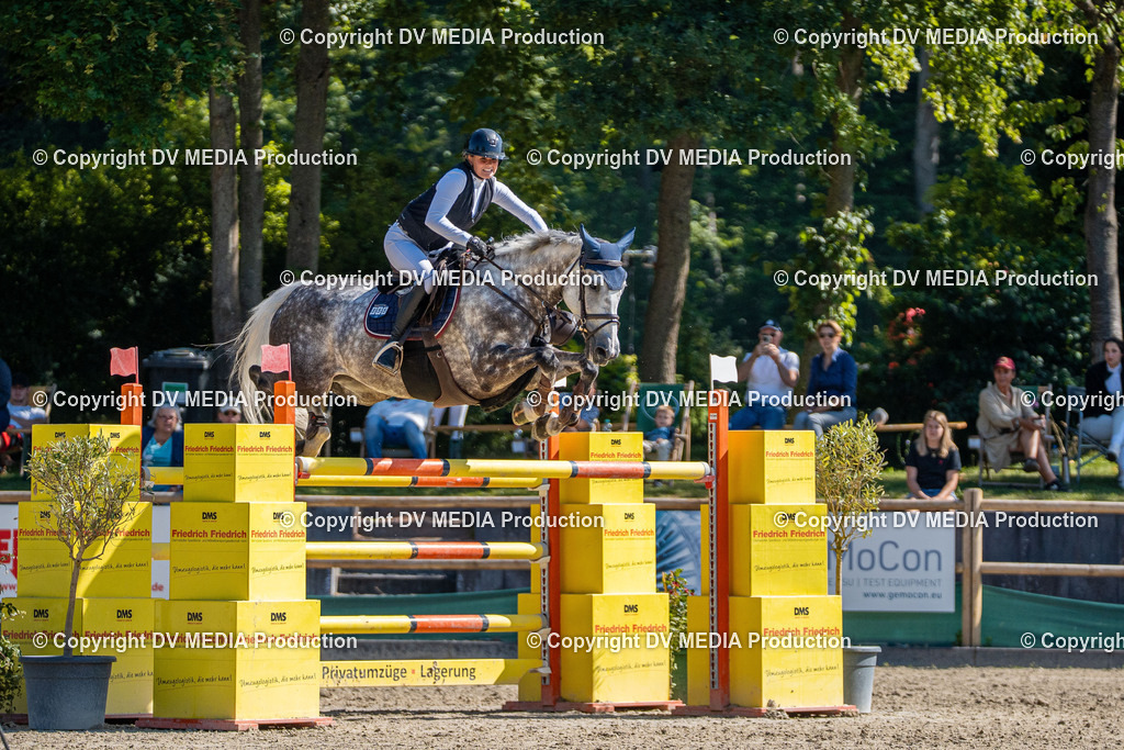 Hessische Tag 3-27 | dv-media-shop - Realisiert mit Pictrs.com