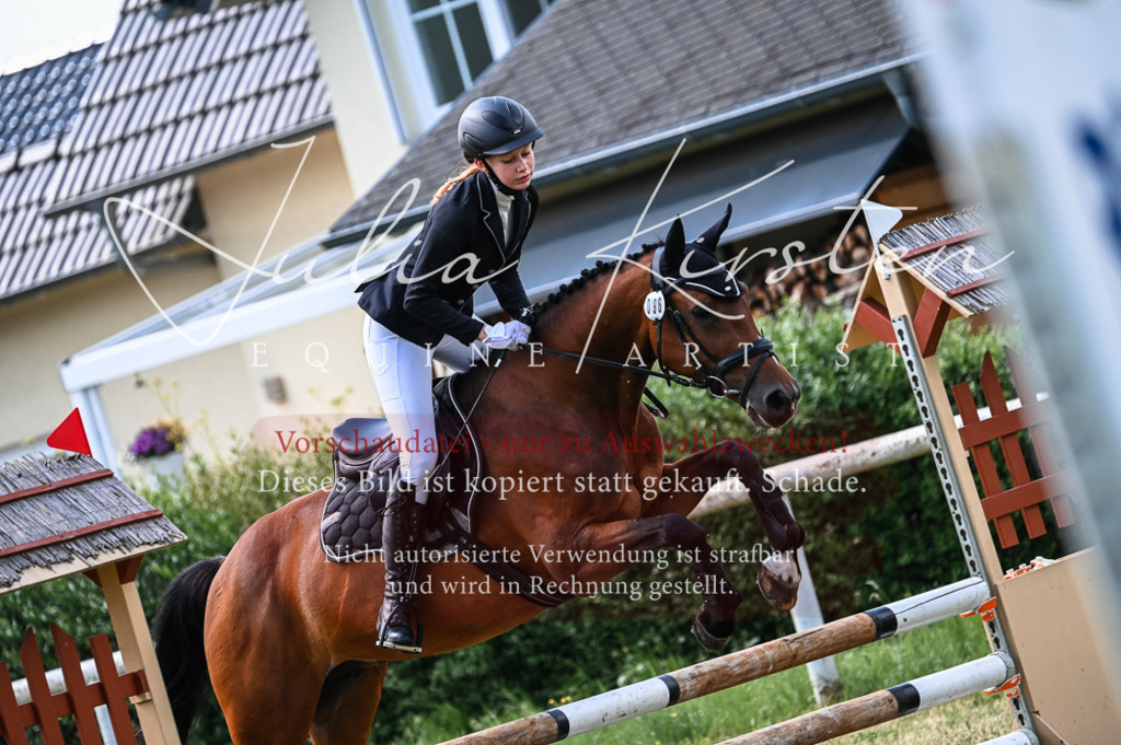 DSC_8480 | Pferde- und Turnierfotografie in Westsachsen. Pferdeportraits, Auftragszeichnungen und intuitive Kunst.