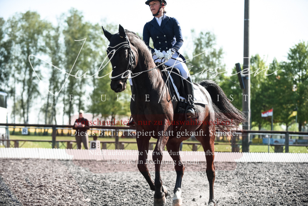 DSC_8588 | Pferde- und Turnierfotografie in Westsachsen. Pferdeportraits, Auftragszeichnungen und intuitive Kunst.