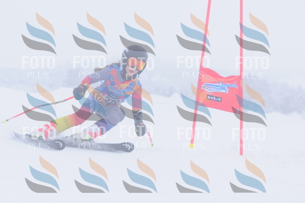 C2836 | holidayphoto