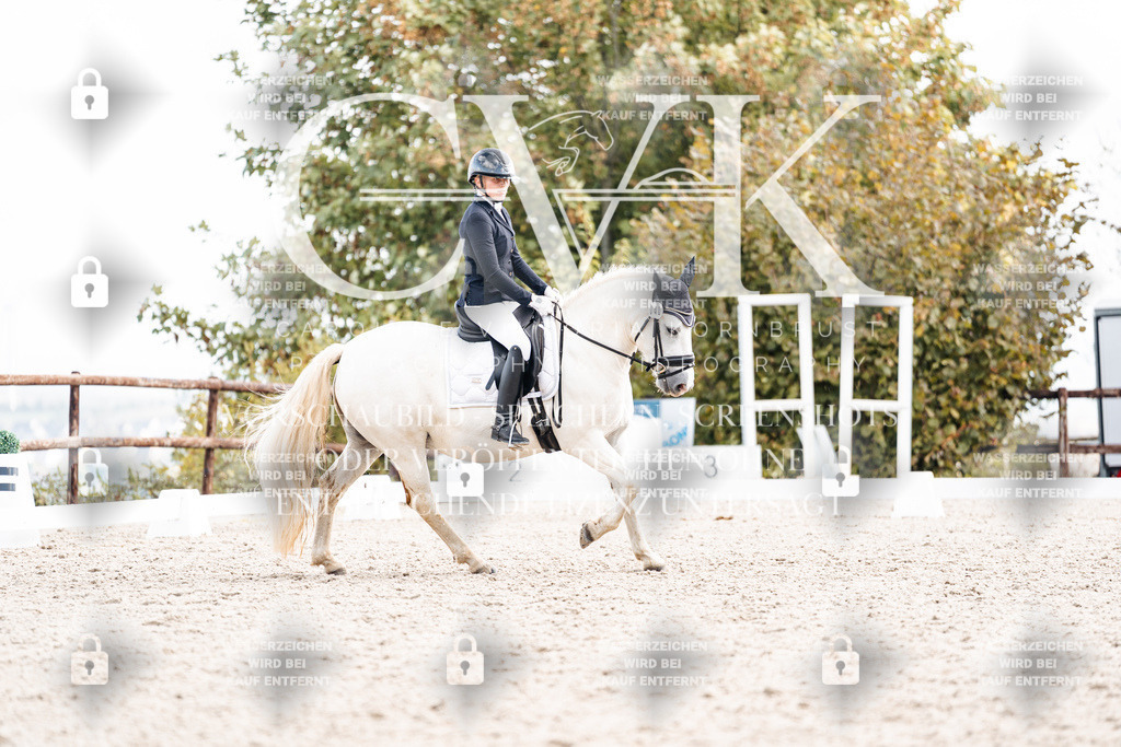 CK901573 | Turnierfotografie Pferdefotografie Trier Rheinland-Pfalz Pferdesport Reitsport Tierfotografie Sportfotografie Pferdevideo Pferdevideografie Equestrianvideography equestrianphotography  - Realisiert mit Pictrs.com