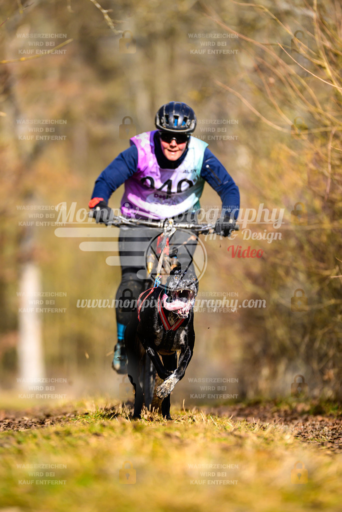 MompixPhotography_Schwabentrail2025_SO_Bike-31 | PayLife