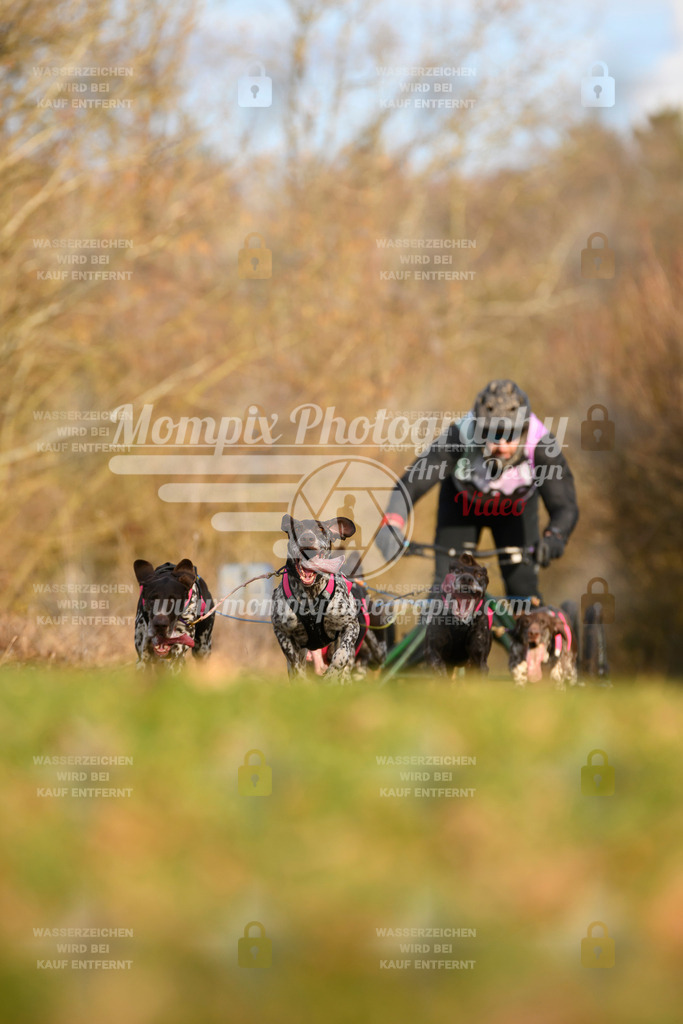 MompixPhotography_10Schwabentrail2026_SO_Kart-1 | PayLife