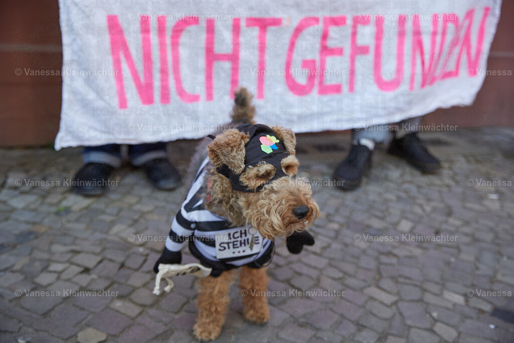 250426_Gewobag_27 | Vanessa Kleinwächter - Realisiert mit Pictrs.com