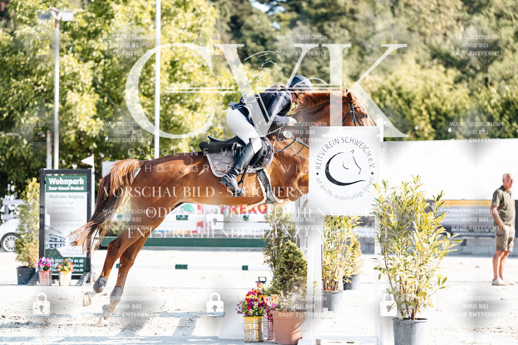 CK901771 | Turnierfotografie Pferdefotografie Trier Rheinland-Pfalz Pferdesport Reitsport Tierfotografie Sportfotografie Pferdevideo Pferdevideografie Equestrianvideography equestrianphotography  - Realisiert mit Pictrs.com