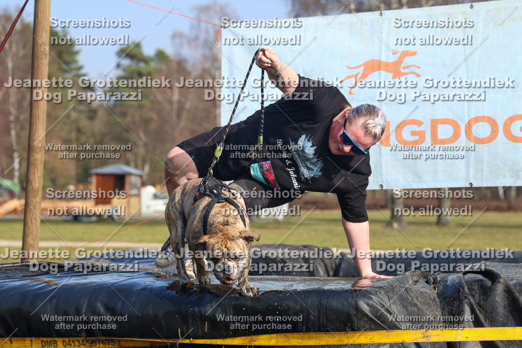 Dog Paparazzi - Strongdog North Mrz26-3152 | Dog Paparazzi Jeanette Grottendiek Fotografie & Videografie - Realisiert mit Pictrs.com