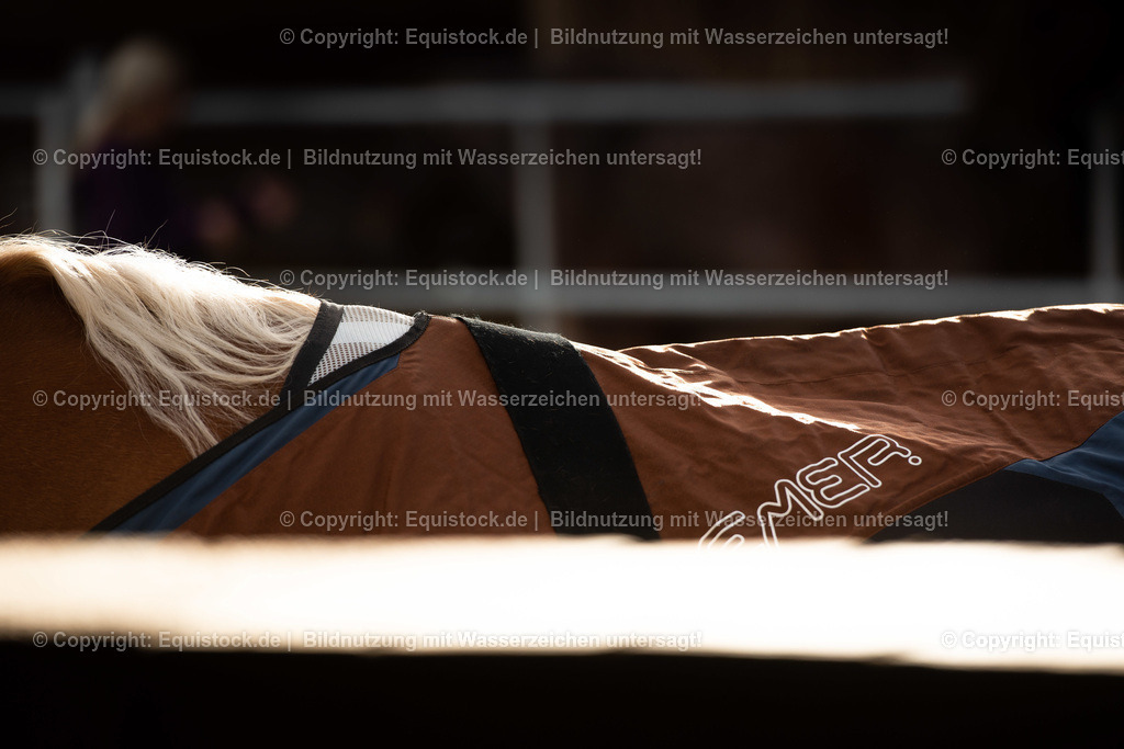 20200928_Bemer_Decke_0001 | equistock