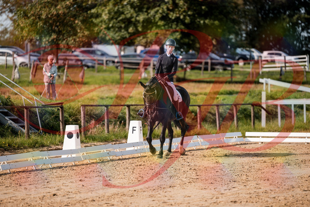 2026_10_03_Siefer-Hof_115459_Z63_30295285 | Professionelle Reitsport-, Turnier- und Eventfotografie von Robert Broda. Galerien mit ausgewählten und bearbeiteten Bildern direkt online ansehen und bestellen.