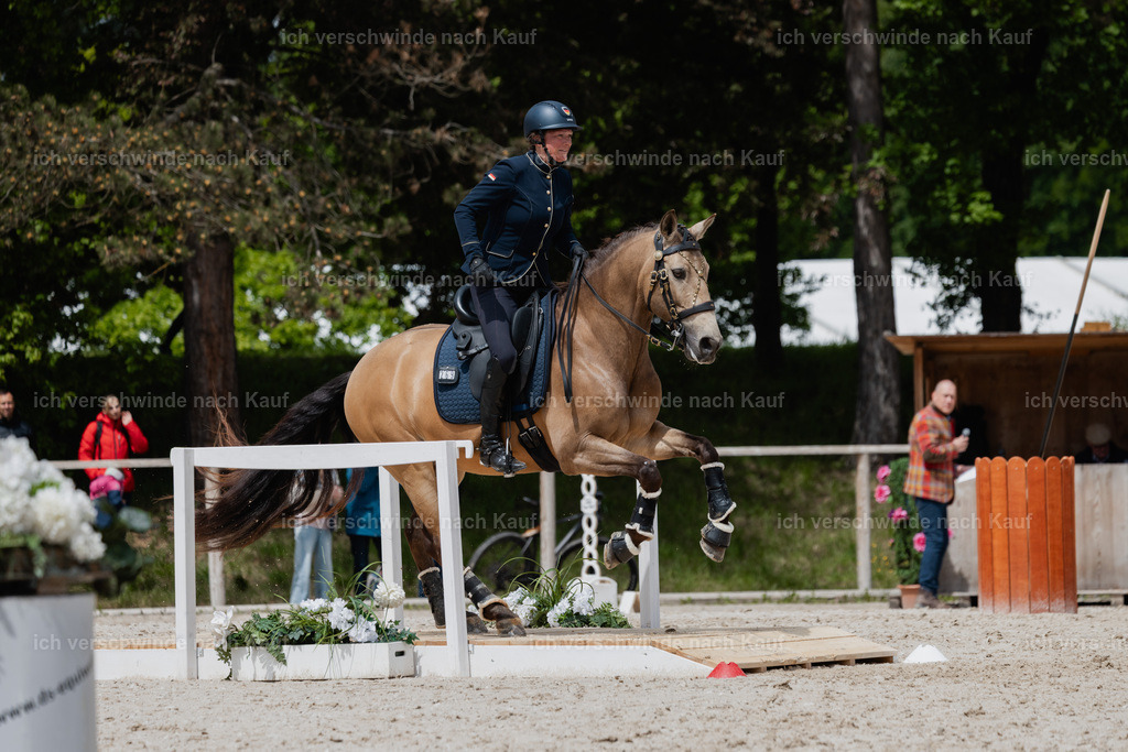 PI26_SP_StoibphotographyC2_C2000.jpg | working equitationturnier fotograf videograf stoibphotography marixx film working equitation deutschland reitsport turnierfotografie eventfotografie equestrian events