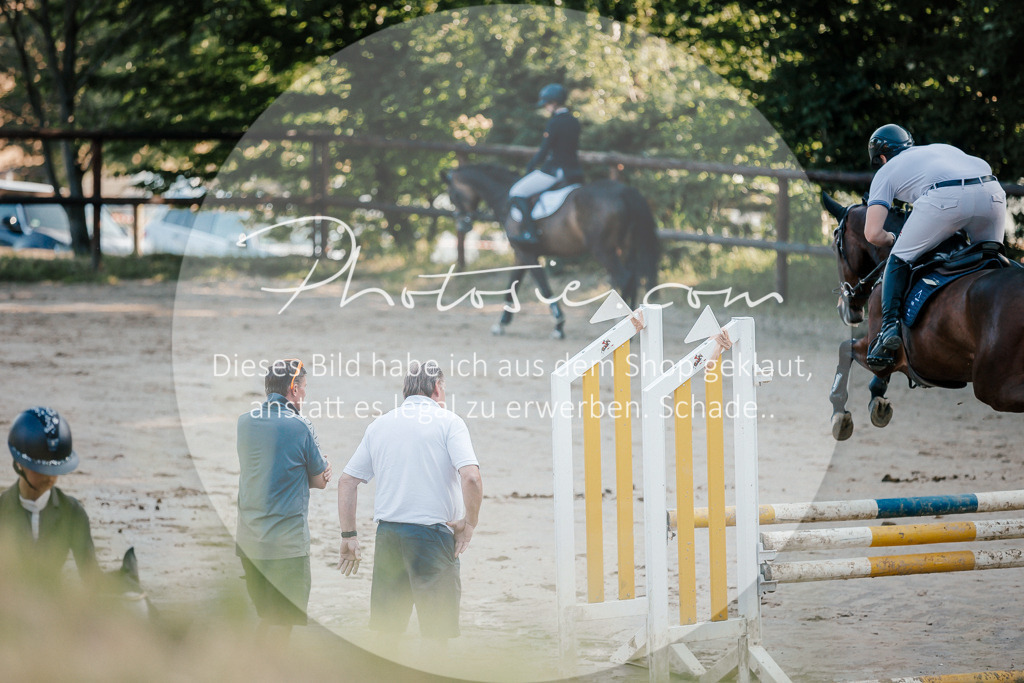 3I6A6022 | Stimmungsvolle Portraits und Reitsportfotografie im Ruhrgebiet und im Münsterland.

Pferdefotografie, Hundefotografie, Tierfotografie, Reportagen, Portraits von Tier und Mensch, Turnierfotografie in Bochum, Recklinghausen, Marl, Haltern am See, Dülmen.. - Realisiert mit Pictrs.com