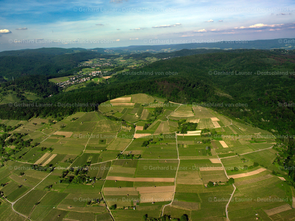 2598023 | Weinberge bei Heppenheim