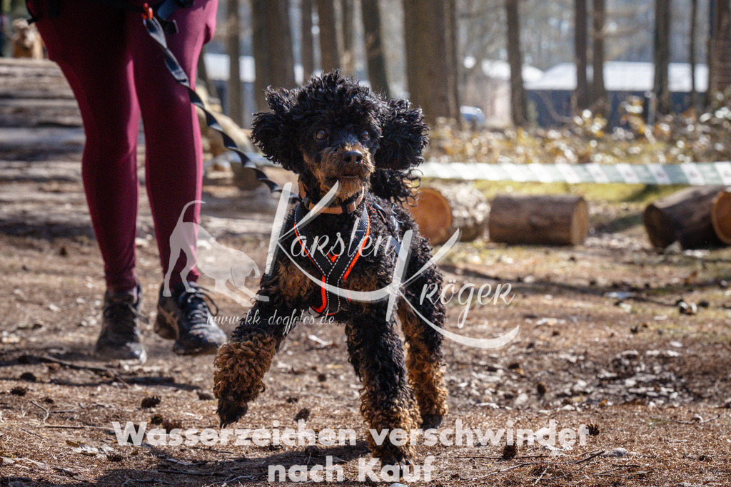 1340_ZZ96000 | kk-dogfotos