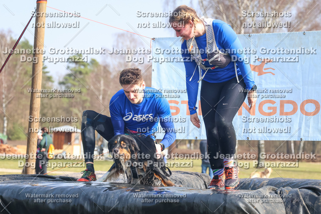 Dog Paparazzi - Strongdog North Mrz26-2276 | Dog Paparazzi Jeanette Grottendiek Fotografie & Videografie - Realisiert mit Pictrs.com