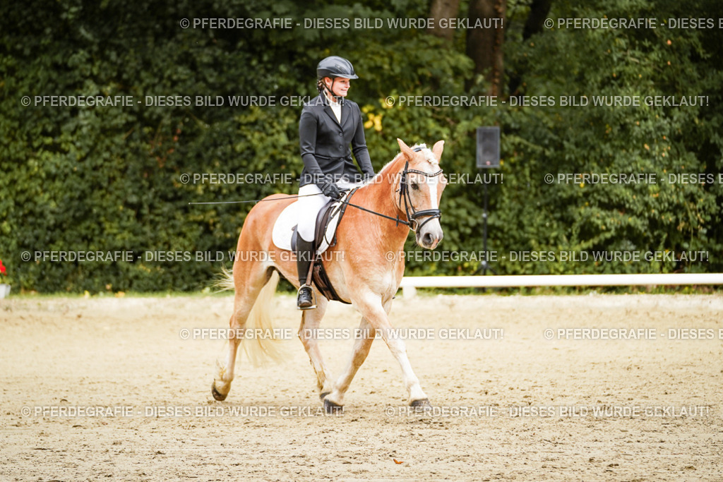 DSC00072 | Pferdegrafie