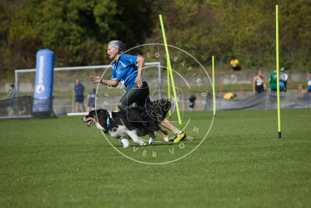 0L8A6700 | Hundefotografie, Tierfotograf, Pfotenfotografie, Fotoshooting Hund, Hunde Portrait, Hundesport, Hundeportraits, Heideshooting, Hunde, Sportfotograf, Hundefotograf, Turnierhundsport, THS,  - Realisiert mit Pictrs.com