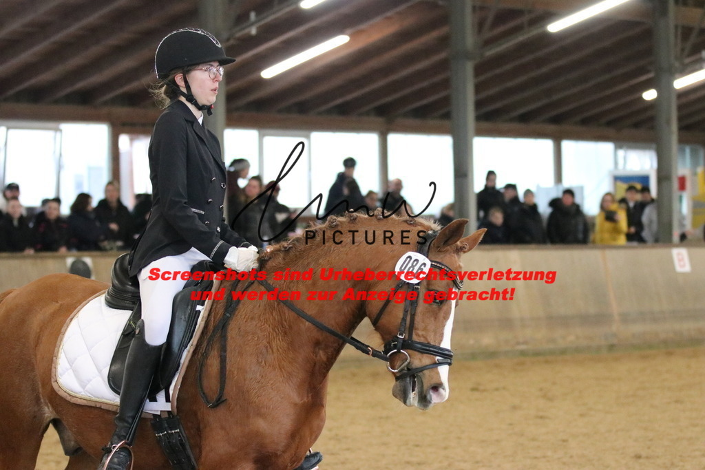 IMG_4258 | lmwpictures - Realisiert mit Pictrs.com