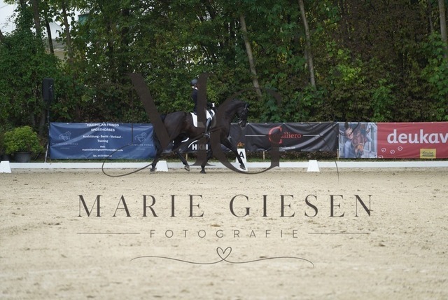 VAN04719 | Marie Giesen Fotografie - Realisiert mit Pictrs.com