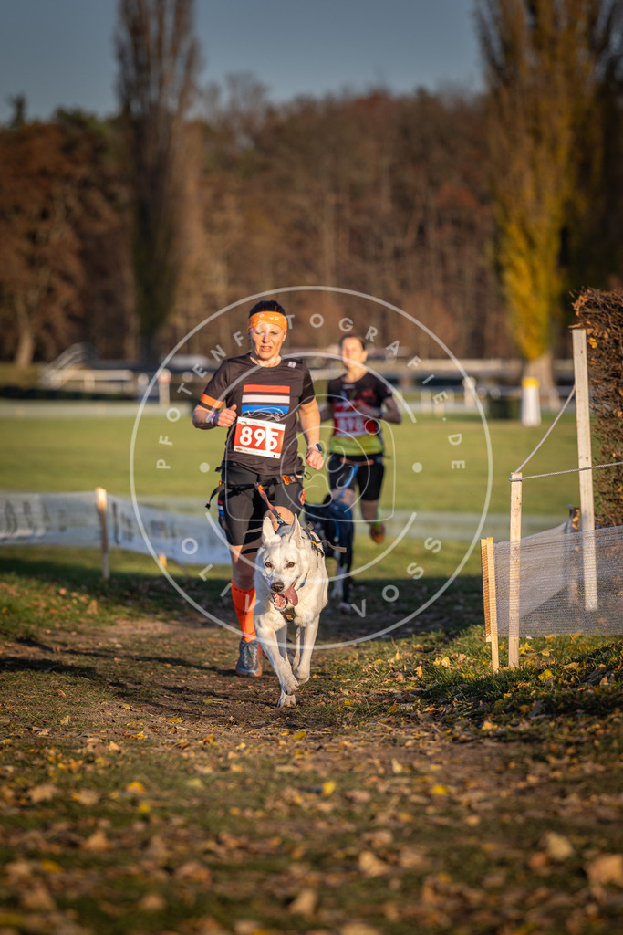 CaniXpix_DV3A4522 | Hundefotografie, Tierfotograf, Pfotenfotografie, Fotoshooting Hund, Hunde Portrait, Hundesport, Hundeportraits, Heideshooting, Hunde, Sportfotograf, Hundefotograf, Turnierhundsport, THS,  - Realisiert mit Pictrs.com