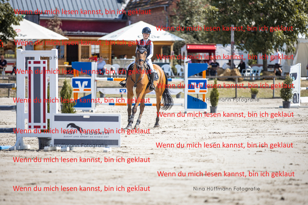 BK1A6623 | Turnierbilder Turnierfotos Nina Hüffmann Turnierfotografie Pferdefotografie Tierzeichnung Haustierzeichnung Pferdezeichnung Hundezeichnung Videograf  - Realisiert mit Pictrs.com