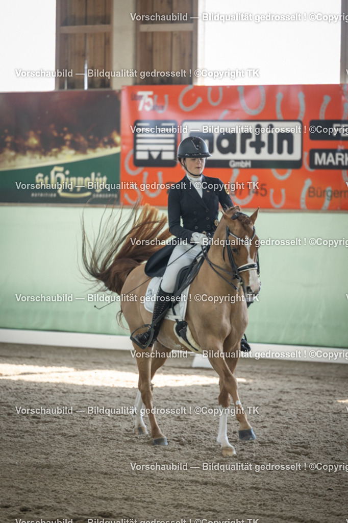 _D5A9437 | Emotionale Pferde- & People-Fotografie rund um Heidelberg, Leimen & Umgebung. Natürliche Fotos von Pferd, Mensch & Familie. Jetzt Termin sichern!