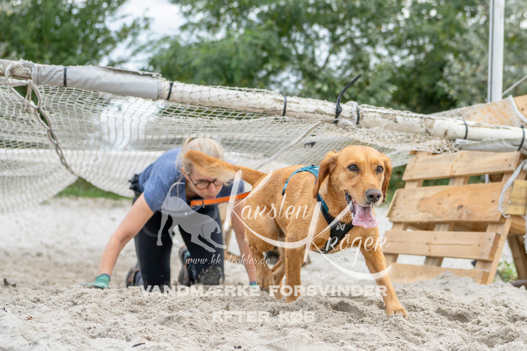 1516_ZZ93871 | kk-dogfotos