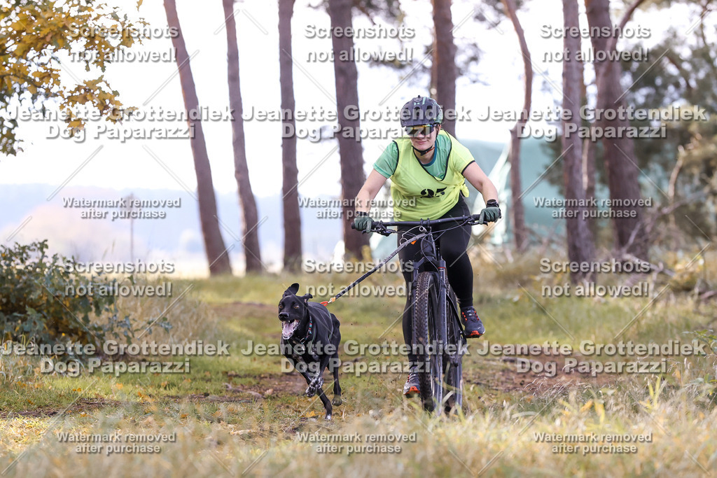 Dog Paparazzi - Elsholz 25 -116 | Dog Paparazzi Jeanette Grottendiek Fotografie & Videografie - Realisiert mit Pictrs.com