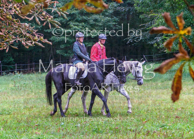 Jagd Perdoel_MarinaHewigDSCF3362 | Fotografie, FotoArt, PferdesportArt, Pferdesportfotografie, Landschaftsfotografie, Reisefotografie, Reise, Pferde - Realisiert mit Pictrs.com