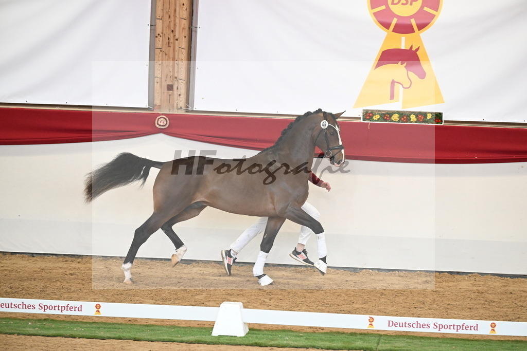 Kat.-Nr. 69 v. Glamourdale_Reichert_2250507 | hf-fotografie - Realisiert mit Pictrs.com