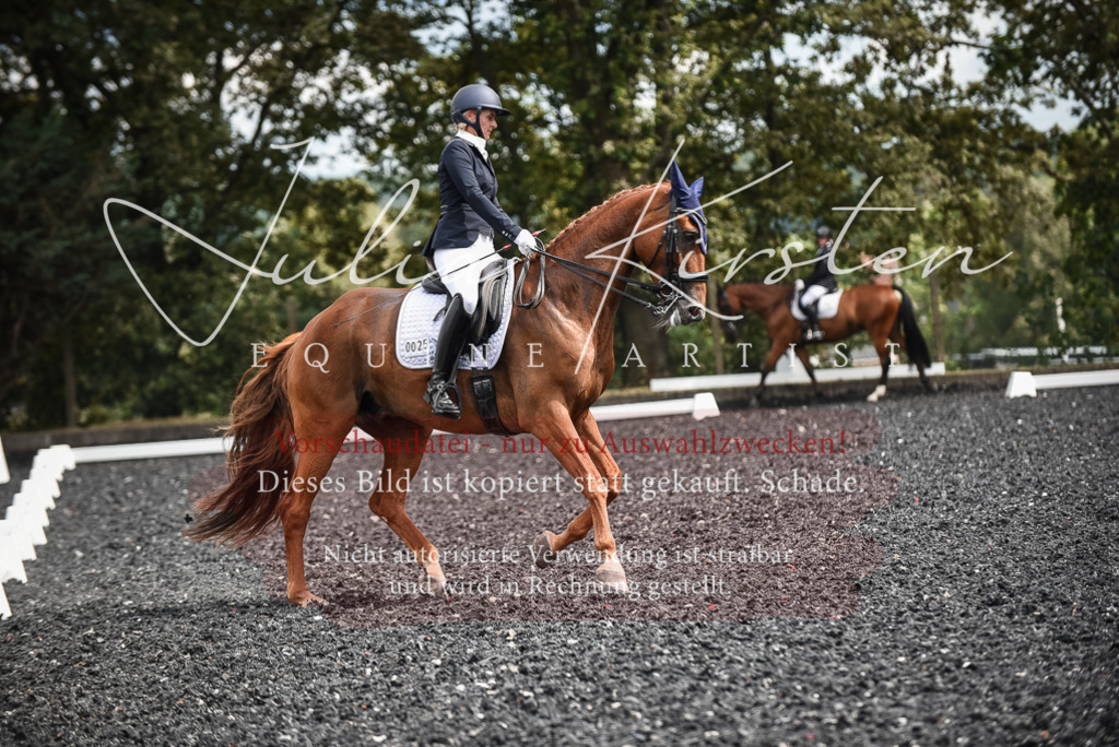 DSC_5043 | Pferde- und Turnierfotografie in Westsachsen. Pferdeportraits, Auftragszeichnungen und intuitive Kunst.