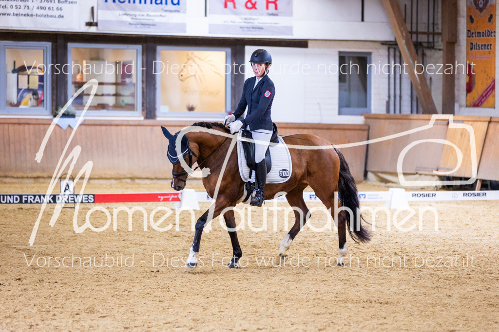 Sth-A-Dre-2St-231 | MomenTaufnahmen Pferdesportfotos