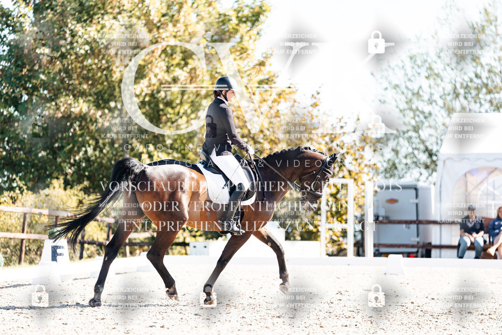 CK908696 | Turnierfotografie Pferdefotografie Trier Rheinland-Pfalz Pferdesport Reitsport Tierfotografie Sportfotografie Pferdevideo Pferdevideografie Equestrianvideography equestrianphotography  - Realisiert mit Pictrs.com