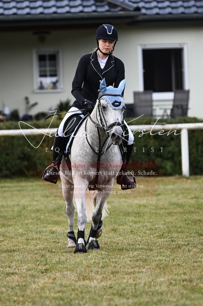 DSC_5517 | Pferde- und Turnierfotografie in Westsachsen. Pferdeportraits, Auftragszeichnungen und intuitive Kunst.