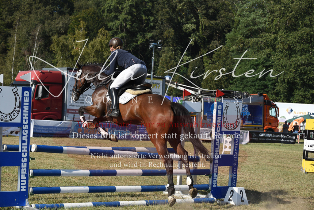 DSC_5284 | Pferde- und Turnierfotografie in Westsachsen. Pferdeportraits, Auftragszeichnungen und intuitive Kunst.