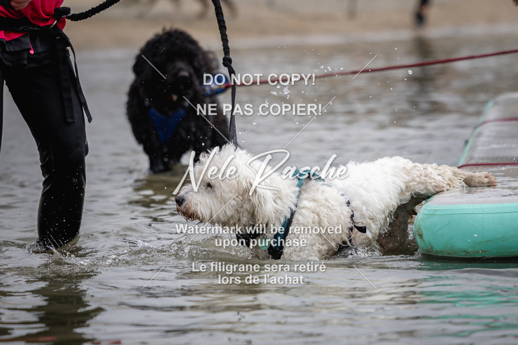 nelerasche_Hulsbeek_Sa1130-1230_528 | nelerasche