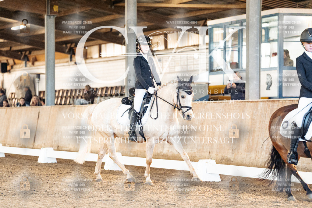 CK907476 | Turnierfotografie Pferdefotografie Trier Rheinland-Pfalz Pferdesport Reitsport Tierfotografie Sportfotografie Pferdevideo Pferdevideografie Equestrianvideography equestrianphotography  - Realisiert mit Pictrs.com