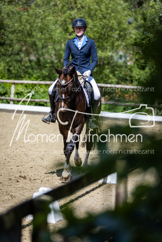 Donop24-EDre-021 | MomenTaufnahmen Pferdesportfotos