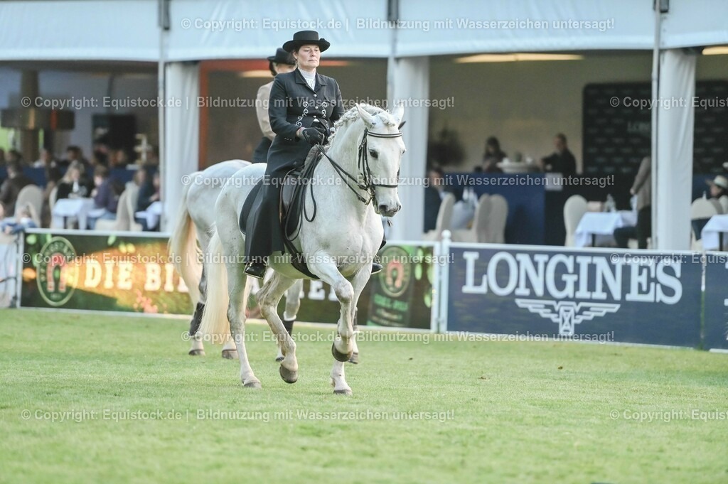 20230526_Pferdenacht_0783 | equistock