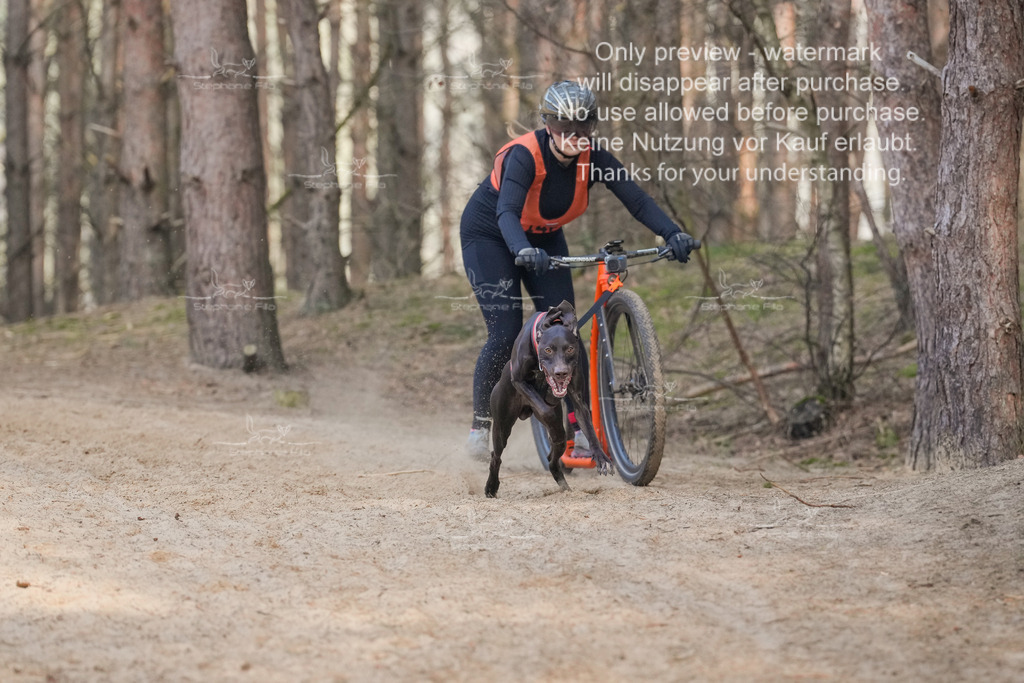 Scooter2-27 | stephaniefillaphotographie - Realisiert mit Pictrs.com