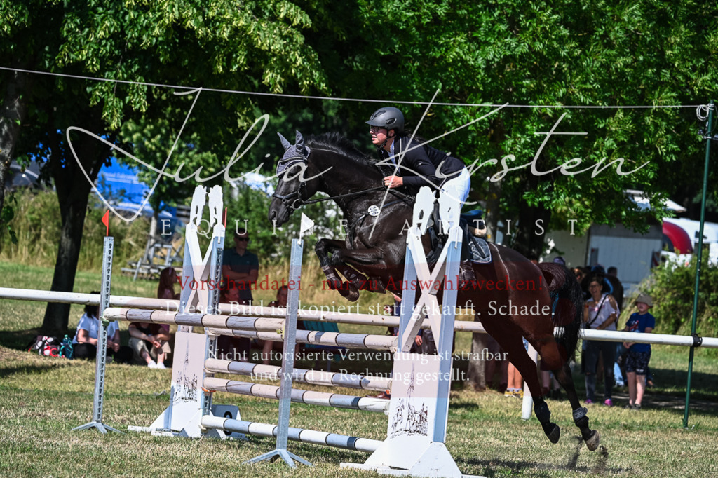 DSC_1622 | Pferde- und Turnierfotografie in Westsachsen. Pferdeportraits, Auftragszeichnungen und intuitive Kunst.