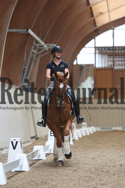 Ludwigsburg_2023_Lehrgang_Benjamin_Werndl_Gruppe_03 (57) | Alle Fotos der Reiterjournal Fotografin Doris Matthaes im Reiterjournal Online-Fotoshop. - Realized with Pictrs.com