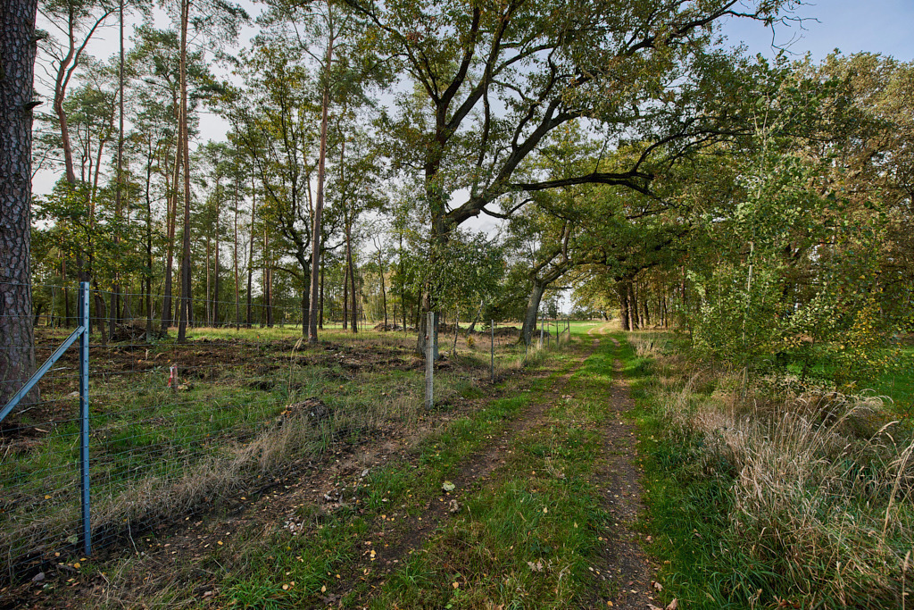 Südöstlich von Gruhno 08 | Bedeutsame Landschaften Deutschlands - Realisiert mit Pictrs.com