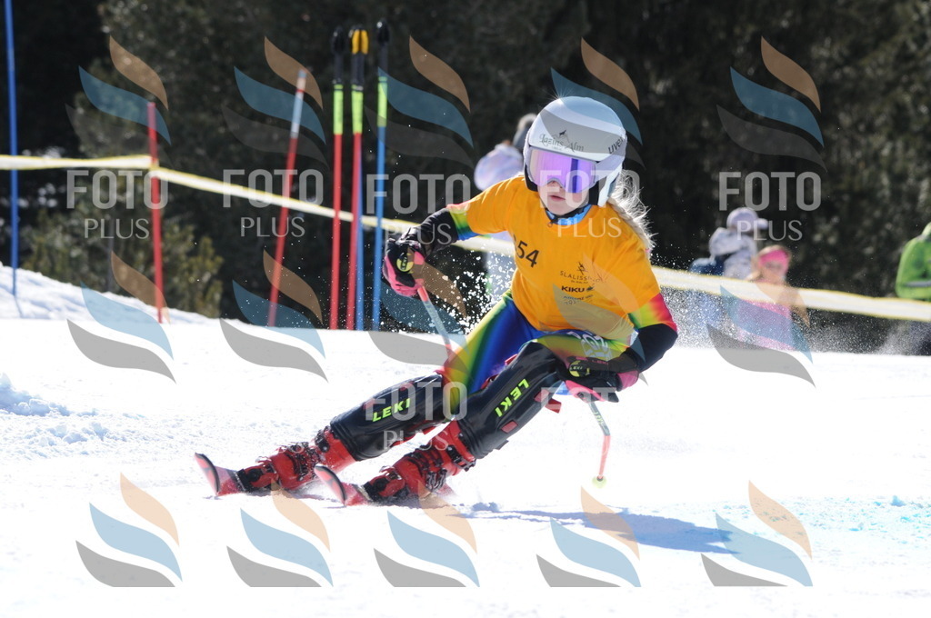 C8874 | holidayphoto