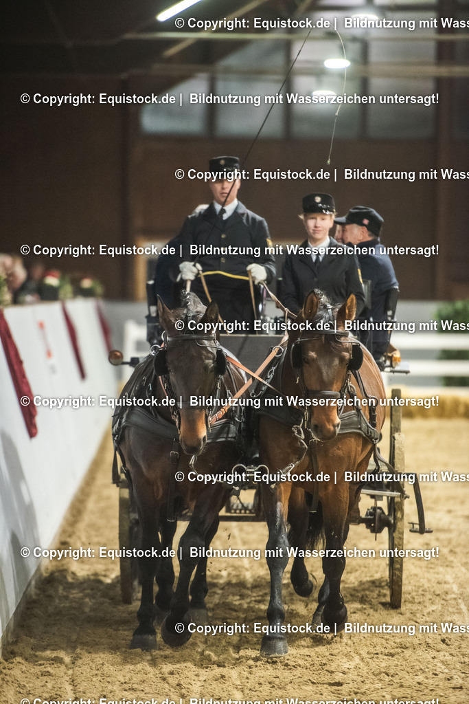 20240302_Hengstvorstellung_Marbach_TOMsPiC_0740 | equistock