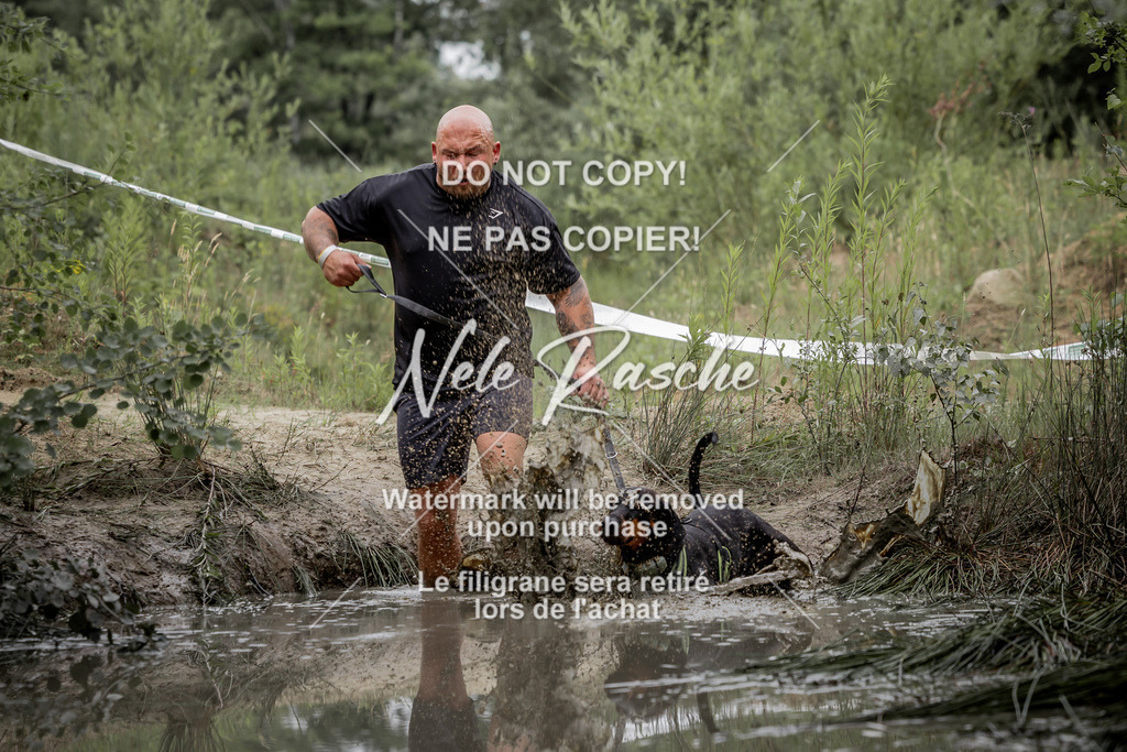 nelerasche_so0800-0930_373 | nelerasche