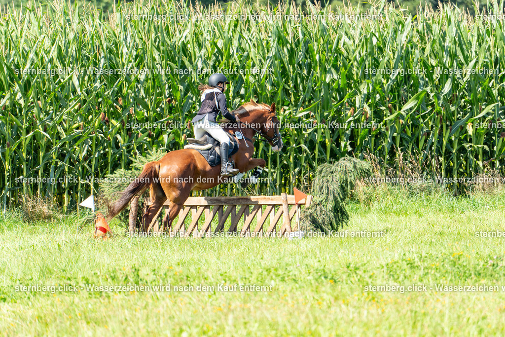 2026-08-08_11-28-52_WBO_Pulsnitz | sternberg.click - Realisiert mit Pictrs.com