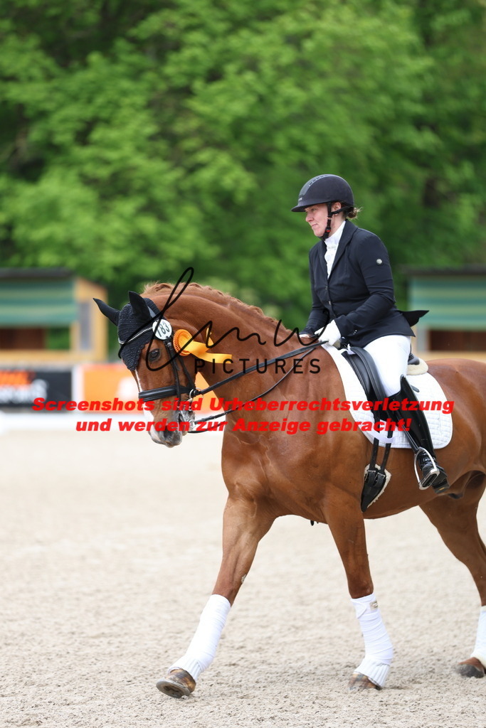 A40A4448 | lmwpictures - Realisiert mit Pictrs.com