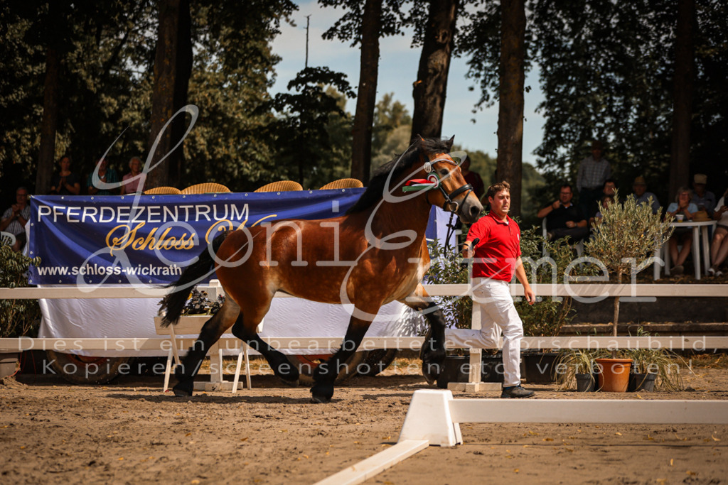 1.Sa00066 | Leoni Ertmer Photography - Realisiert mit Pictrs.com